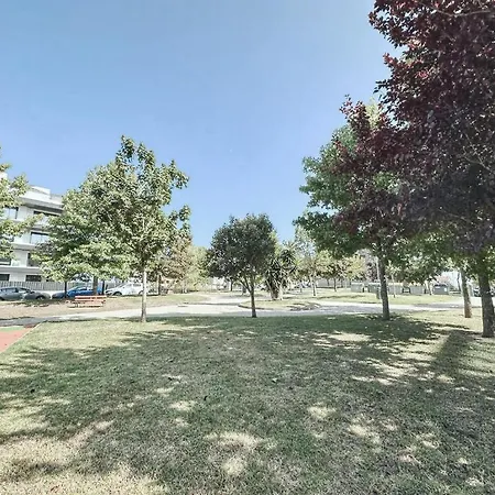 Decanelas * 산신소